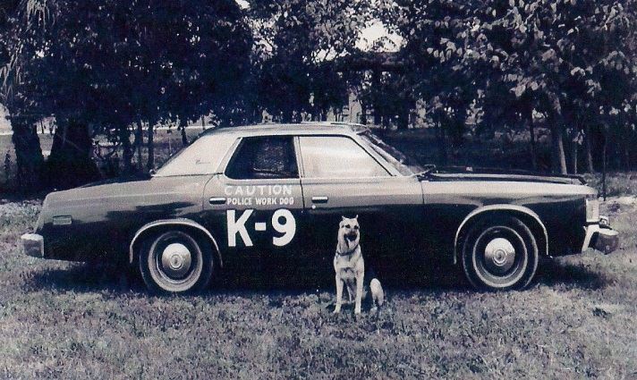 K-9 With Car